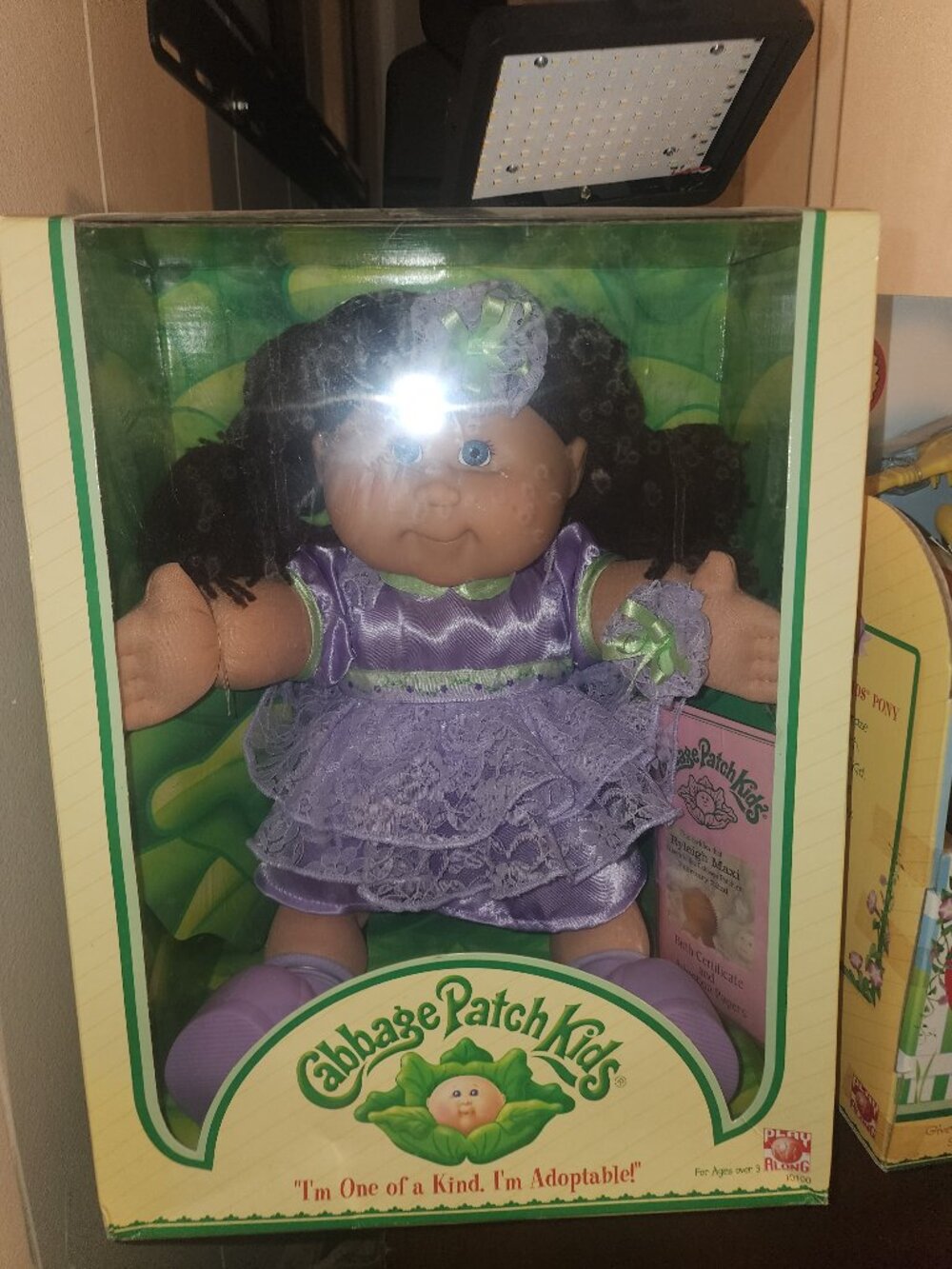 Collector Cabbage Patch
